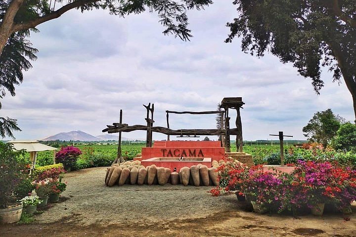 Bodega de pisco